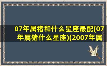 07年属猪和什么星座最配(07年属猪什么星座)(2007年属猪男和什么属相最配)