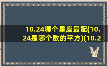 10.24哪个星座最配(10.24是哪个数的平方)(10.24是什么星座呀)