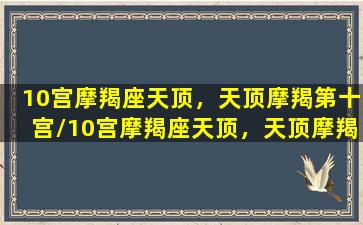 10宫摩羯座天顶，天顶摩羯第十宫/10宫摩羯座天顶，天顶摩羯第十宫-我的网站