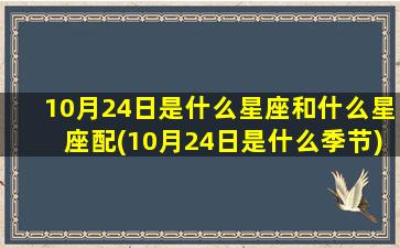 10月24日是什么星座和什么星座配(10月24日是什么季节)