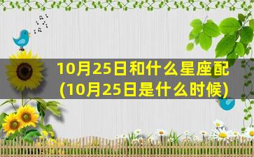 10月25日和什么星座配(10月25日是什么时候)