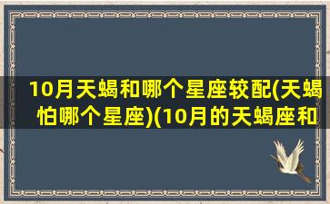 10月天蝎和哪个星座较配(天蝎怕哪个星座)(10月的天蝎座和11月的天蝎座有什么特点)