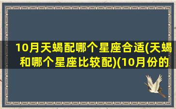 10月天蝎配哪个星座合适(天蝎和哪个星座比较配)(10月份的天蝎和11月份的哪个好)