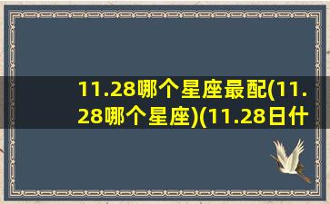 11.28哪个星座最配(11.28哪个星座)(11.28日什么星座)