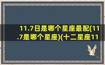 11.7日是哪个星座最配(11.7是哪个星座)(十二星座11月7日是什么星座)