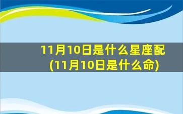 11月10日是什么星座配(11月10日是什么命)