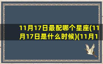 11月17日最配哪个星座(11月17日是什么时候)(11月17日的星座是啥)