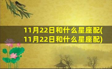 11月22日和什么星座配(11月22日和什么星座配)