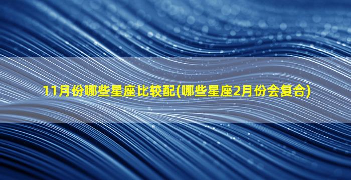 11月份哪些星座比较配(哪些星座2月份会复合)