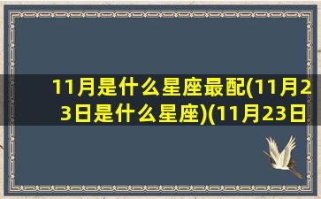 11月是什么星座最配(11月23日是什么星座)(11月23日是什么星座的正确的答案)