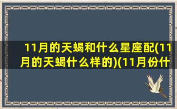 11月的天蝎和什么星座配(11月的天蝎什么样的)(11月份什么星座天蝎座什么性格)