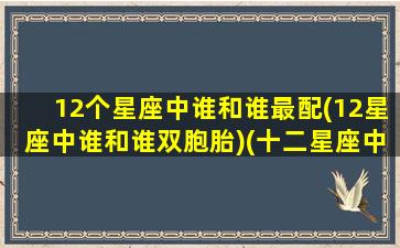 12个星座中谁和谁最配(12星座中谁和谁双胞胎)(十二星座中谁和谁最般配)