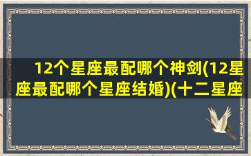 12个星座最配哪个神剑(12星座最配哪个星座结婚)(十二星座最配的武器)