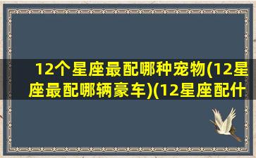 12个星座最配哪种宠物(12星座最配哪辆豪车)(12星座配什么动物)