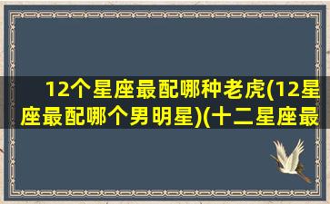 12个星座最配哪种老虎(12星座最配哪个男明星)(十二星座最配哪个明星)