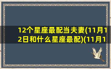 12个星座最配当夫妻(11月12日和什么星座最配)(11月12星座是什么)