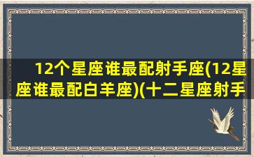 12个星座谁最配射手座(12星座谁最配白羊座)(十二星座射手座跟什么星座最匹配)