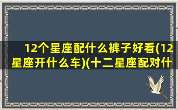 12个星座配什么裤子好看(12星座开什么车)(十二星座配对什么衣服最好看)