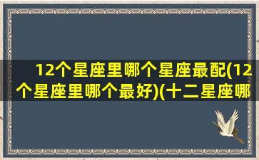 12个星座里哪个星座最配(12个星座里哪个最好)(十二星座哪些星座最配)