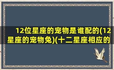 12位星座的宠物是谁配的(12星座的宠物兔)(十二星座相应的宠物)