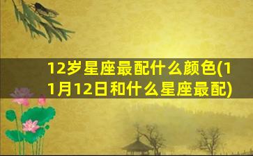 12岁星座最配什么颜色(11月12日和什么星座最配)