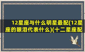 12星座与什么明星最配(12星座的眼泪代表什么)(十二星座配对的明星)