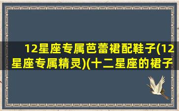 12星座专属芭蕾裙配鞋子(12星座专属精灵)(十二星座的裙子是什么颜色)