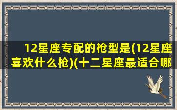 12星座专配的枪型是(12星座喜欢什么枪)(十二星座最适合哪把枪)