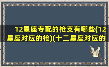 12星座专配的枪支有哪些(12星座对应的枪)(十二星座对应的枪是什么枪)