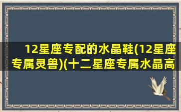 12星座专配的水晶鞋(12星座专属灵兽)(十二星座专属水晶高跟鞋图片)