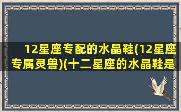 12星座专配的水晶鞋(12星座专属灵兽)(十二星座的水晶鞋是什么样子)