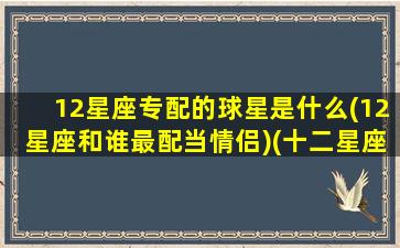 12星座专配的球星是什么(12星座和谁最配当情侣)(十二星座专配哪只动物)