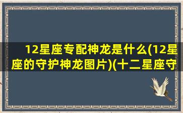 12星座专配神龙是什么(12星座的守护神龙图片)(十二星座守护神龙是什么)