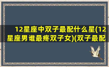 12星座中双子最配什么星(12星座男谁最疼双子女)(双子最配的星座)