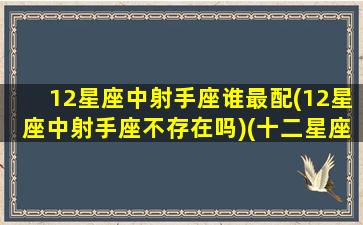 12星座中射手座谁最配(12星座中射手座不存在吗)(十二星座射手座和什么星座最配)