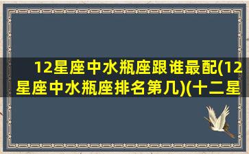 12星座中水瓶座跟谁最配(12星座中水瓶座排名第几)(十二星座水瓶和谁最配)