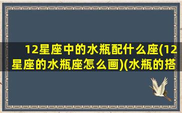 12星座中的水瓶配什么座(12星座的水瓶座怎么画)(水瓶的搭配星座)