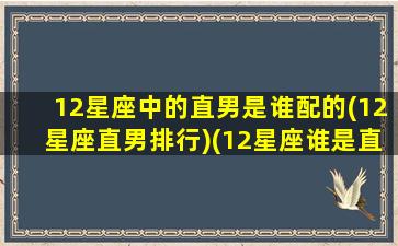 12星座中的直男是谁配的(12星座直男排行)(12星座谁是直女)