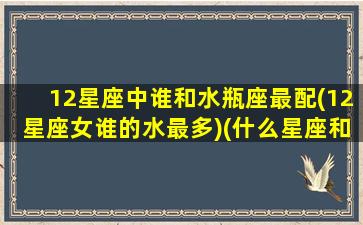 12星座中谁和水瓶座最配(12星座女谁的水最多)(什么星座和水瓶座女最配对)