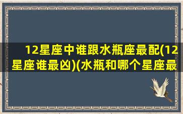 12星座中谁跟水瓶座最配(12星座谁最凶)(水瓶和哪个星座最匹配)