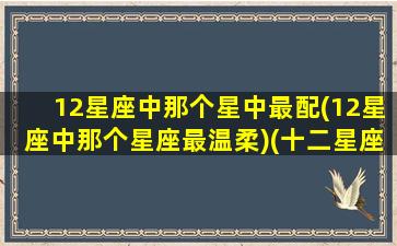 12星座中那个星中最配(12星座中那个星座最温柔)(十二星座哪个星座更温柔)