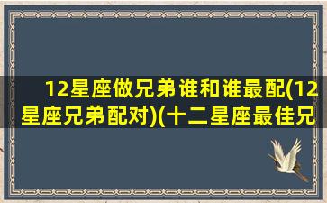 12星座做兄弟谁和谁最配(12星座兄弟配对)(十二星座最佳兄弟组合)