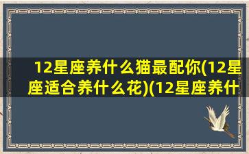 12星座养什么猫最配你(12星座适合养什么花)(12星座养什么猫最好)