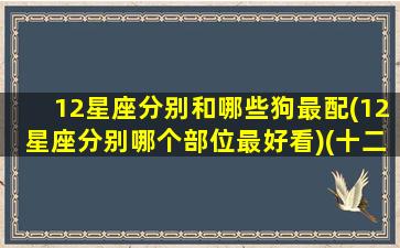 12星座分别和哪些狗最配(12星座分别哪个部位最好看)(十二星座配对狗狗)