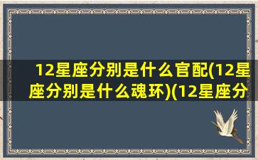 12星座分别是什么官配(12星座分别是什么魂环)(12星座分别是什么魂兽)