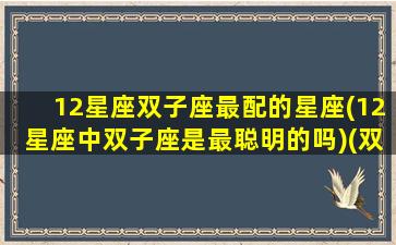 12星座双子座最配的星座(12星座中双子座是最聪明的吗)(双子座最匹配的星座是什么星座)