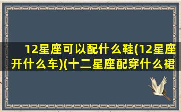 12星座可以配什么鞋(12星座开什么车)(十二星座配穿什么裙子)