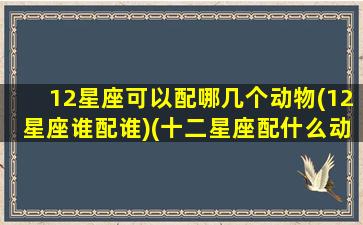 12星座可以配哪几个动物(12星座谁配谁)(十二星座配什么动物)