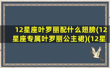 12星座叶罗丽配什么翅膀(12星座专属叶罗丽公主裙)(12星座专属叶罗丽仙子)