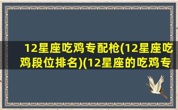 12星座吃鸡专配枪(12星座吃鸡段位排名)(12星座的吃鸡专属武器是什么)